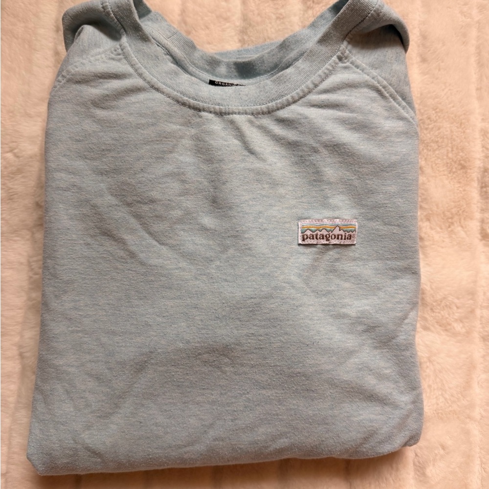 Patagonia Organic Cotton Crew